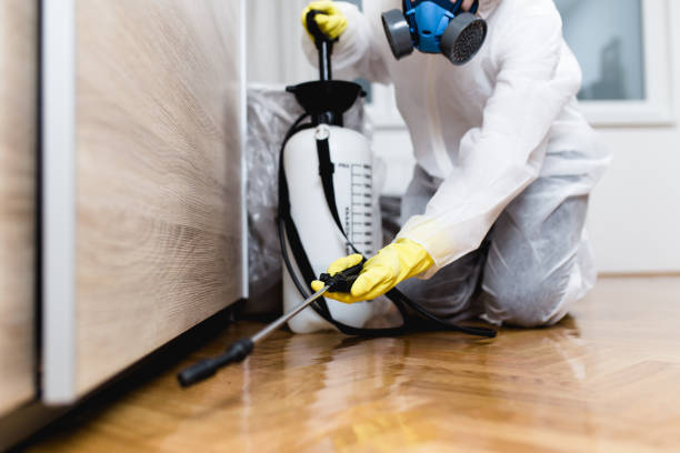 Flea Control Services in Camp Hill, PA