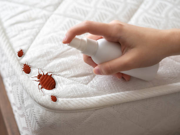 Best Insect Control  in Camp Hill, PA