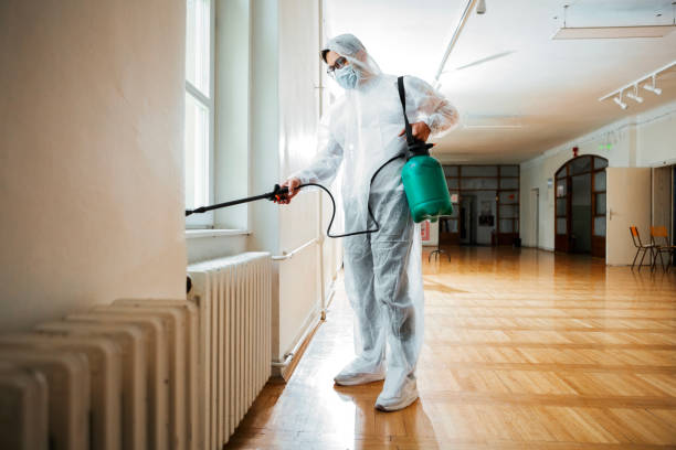 Best Local Pest Control Services  in Camp Hill, PA